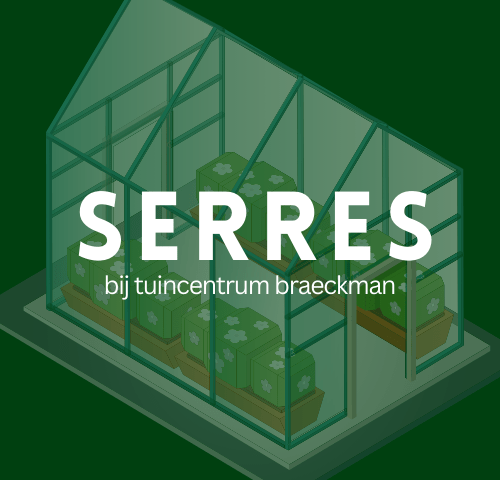 Serres ACD Braeckman