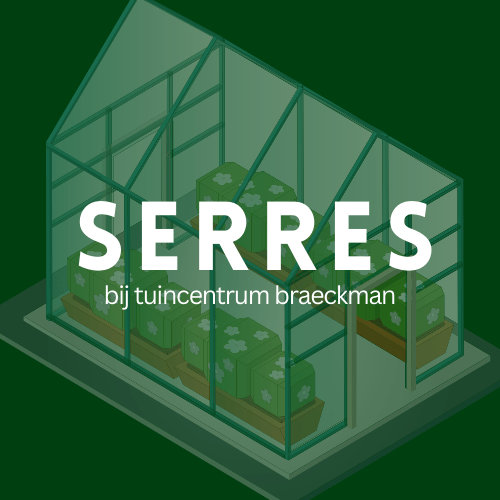 Serres ACD Braeckman